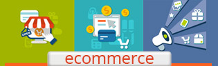 Get your Ecommerce online store for your business today 