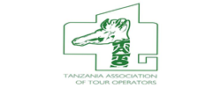 tatotz website design in tanzania